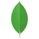 MongoDB's Icon